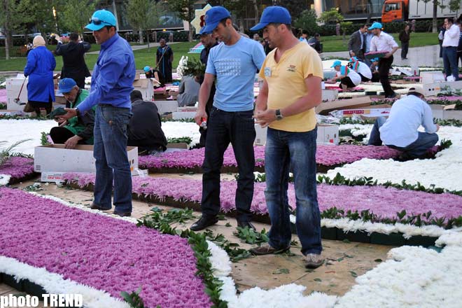 Bakı parklarında Gül bayramı keçirilir - FOTOSESSİYA